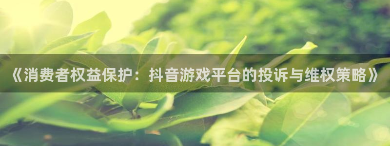 火狐电竞客服服务怎么样：《消费者权益保护：抖音游戏平台的投诉与维权策略》