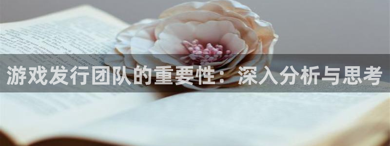 火狐电竞平台代理条件如何：游戏发行团队的重要性：深入分析与思考