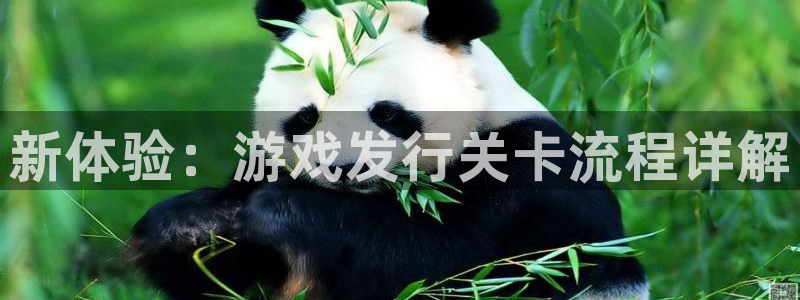 火狐电竞app官网子文化游戏