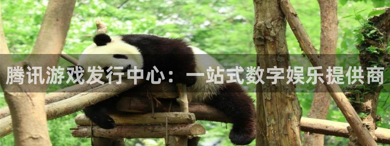 重庆火狐电竞app官网子文化传播有限公司