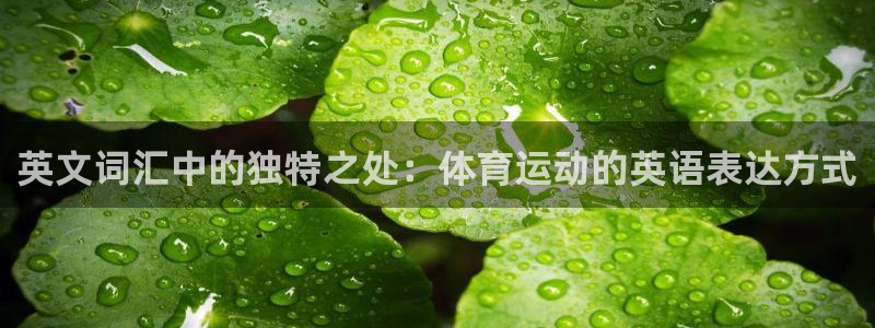 678体育官网：英文词汇中的独特之处：体育运动的英语表达方式
