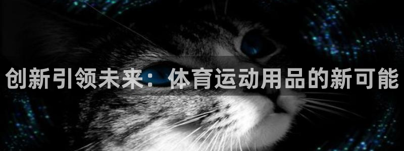 678体育官网：创新引领未来：体育运动用品的新可能