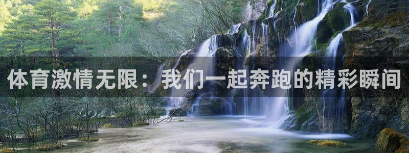 678体育：体育激情无限：我们一起奔跑的精彩瞬间