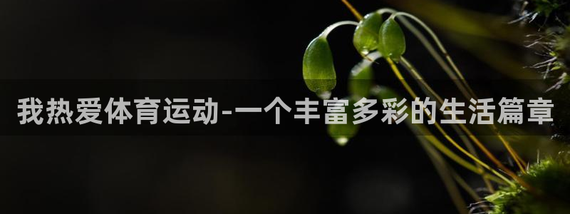 678体育app：我热爱体育运动-一个丰富多彩的生活篇章