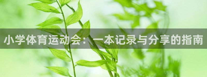 678体育app：小学体育运动会：一本记录与分享的指南
