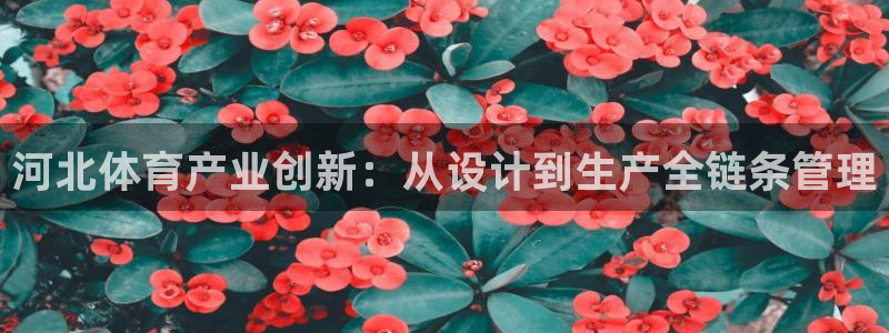 678体育：河北体育产业创新：从设计到生产全链条管理