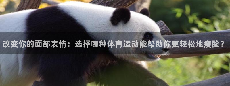 678体育