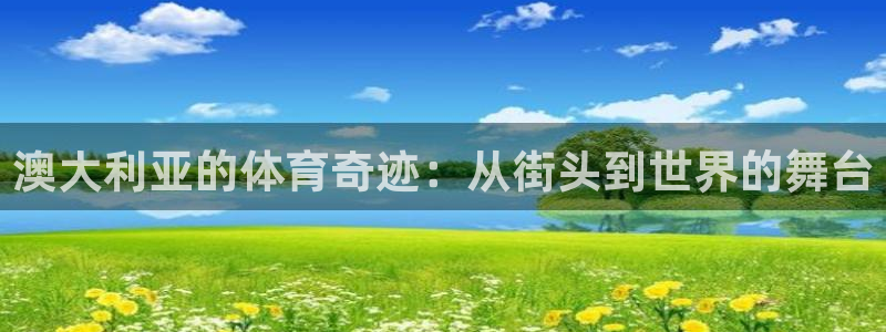 678体育官网地址