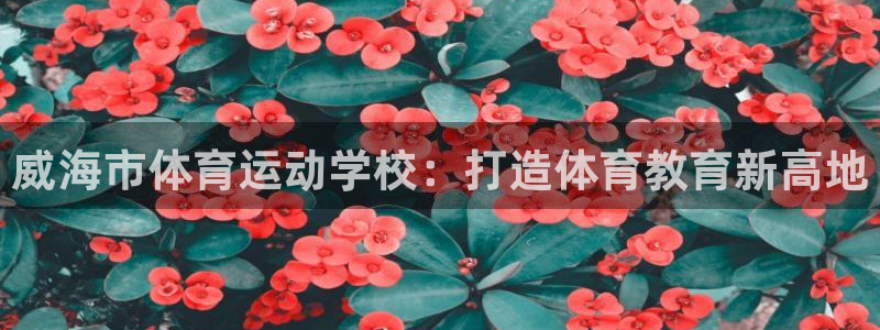 678体育官网地址